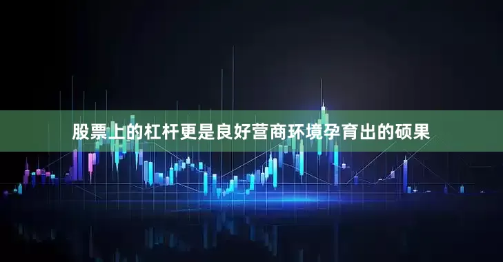 股票上的杠杆更是良好营商环境孕育出的硕果