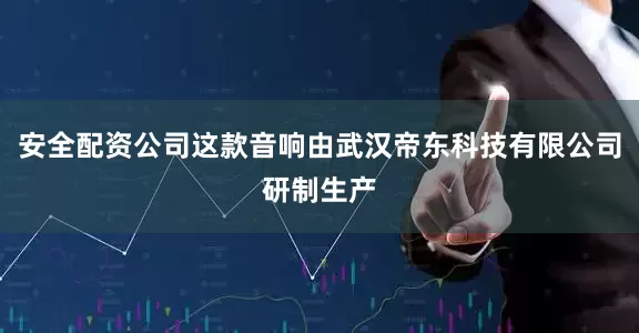 安全配资公司这款音响由武汉帝东科技有限公司研制生产