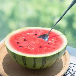 西瓜美食吃瓜视频,跟随吃瓜视频，解锁夏日清凉新食尚