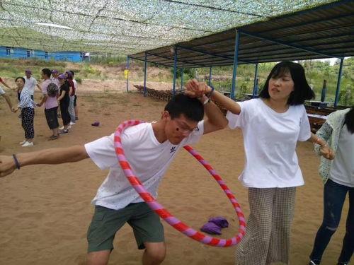 吃瓜大赛每日动态,瓜界风云变幻，精彩瞬间不容错过