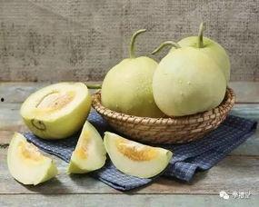 周代吃瓜,瓜果飘香，品味古韵