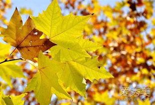 立秋吃瓜啥意思,传统习俗中的时令智慧