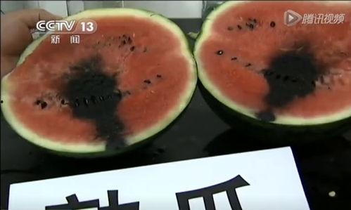 收吃瓜视频,收吃瓜视频深度解析