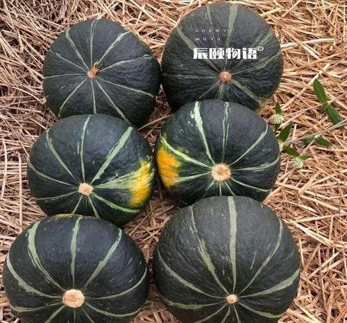 宝丰东关附近吃瓜,夏日消暑美食地图