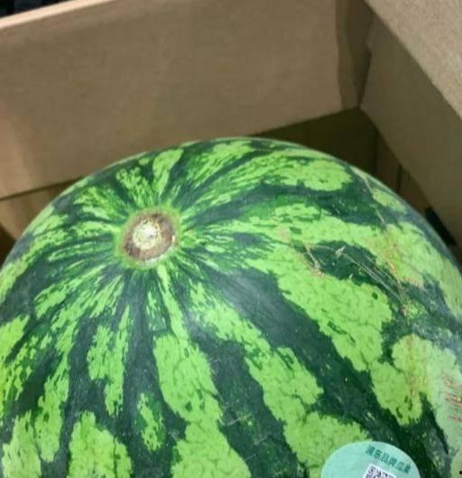 吃假瓜图片大全,吃假瓜图片大全大揭秘