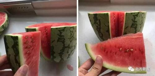 吃假瓜图片大全,吃假瓜图片大全大揭秘