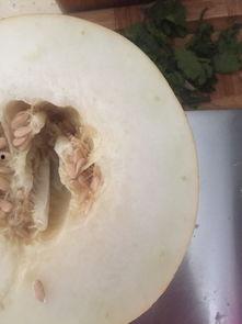 胃酸可以吃伊丽莎白瓜吗,胃酸过多人群的伊丽莎白瓜食用指南