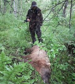 白坟事件吃瓜,揭秘神秘失踪背后的惊人真相
