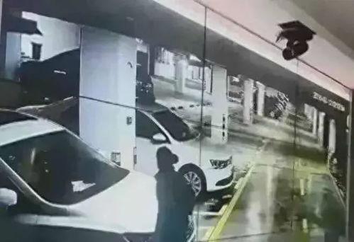 各大高校吃瓜视频外流,揭秘校园生活那些事儿