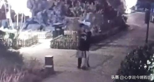 吃热瓜视频完整版,揭秘娱乐圈幕后故事，带你领略明星真实生活