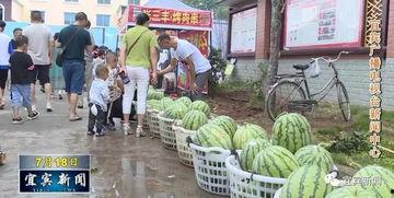 沙河最火吃瓜视频,揭秘最火视频背后的热点事件