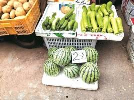 吃瓜自由的视频,网络热词背后的社会现象