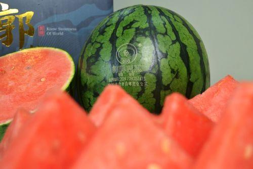 潍坊高密吃瓜事件视频,一场引发热议的网络奇观