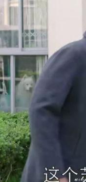 黑人小哥吃瓜群众视频,揭秘街头热辣话题背后的故事