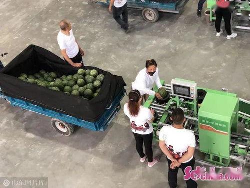 带货搞笑吃瓜视频大全集