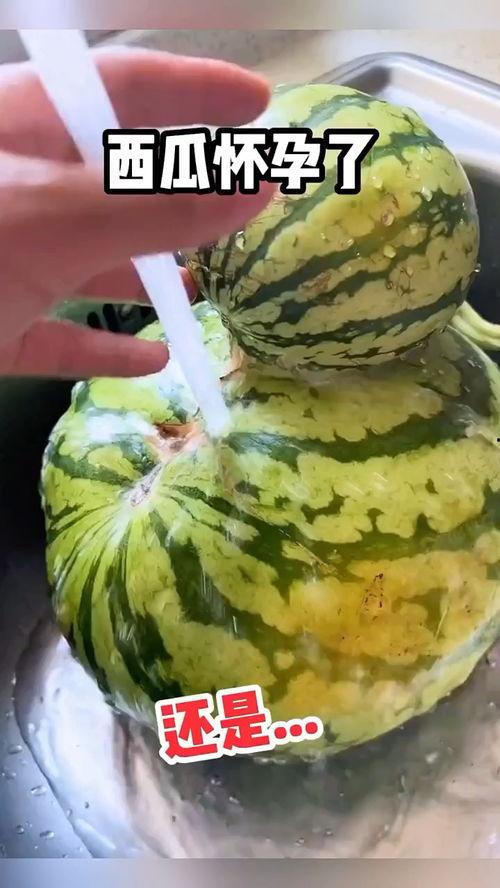 五大搞笑吃瓜视频,笑料横飞，笑出腹肌！