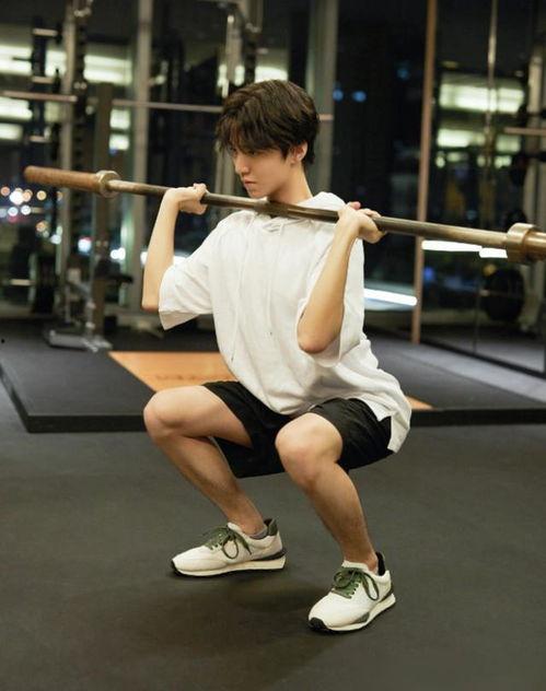 健身录音吃瓜视频大全下载,轻松下载，享受健康娱乐时光